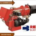 RIELLO DUAL FUEL GI EMME