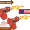 RIELLO GAS 10 PM