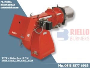 BURNER RIELLO GAS 10 PM