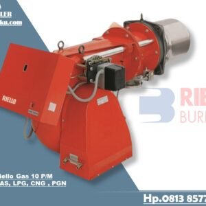 BURNER RIELLO GAS 10 PM