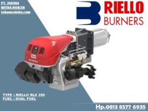 DUAL FUEL RIELLO RLS 250