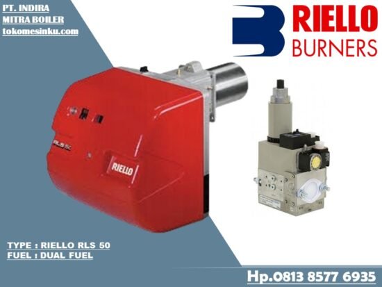 DUAL FUEL RIELLO RLS 50