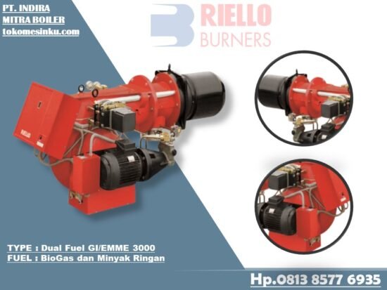 Dual Fuel Riello Gi EMME 3000