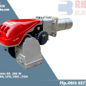 GAS RIELLO RS 250 M