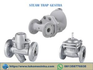 Steam Trap gestra