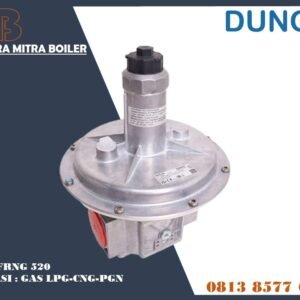 DUNGS FRNG 520 GAS REGULATOR BURNER