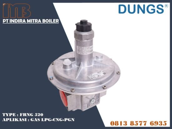 DUNGS FRNG 520 GAS REGULATOR BURNER