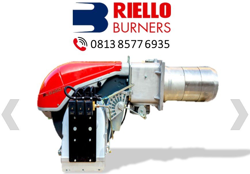 BURNER RIELLO RLS 250 M PEMABAKARAN DUAL FUEL