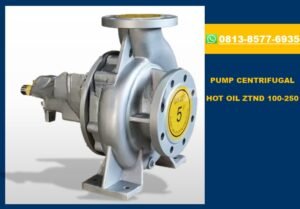 Jual Pompa Hot Oil ZTND 100-250