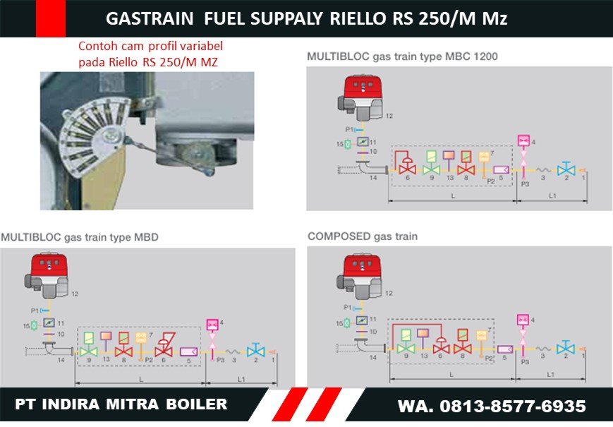 GASTRAIN FUEL SUPPALY RIELLO RS 250 M Mz