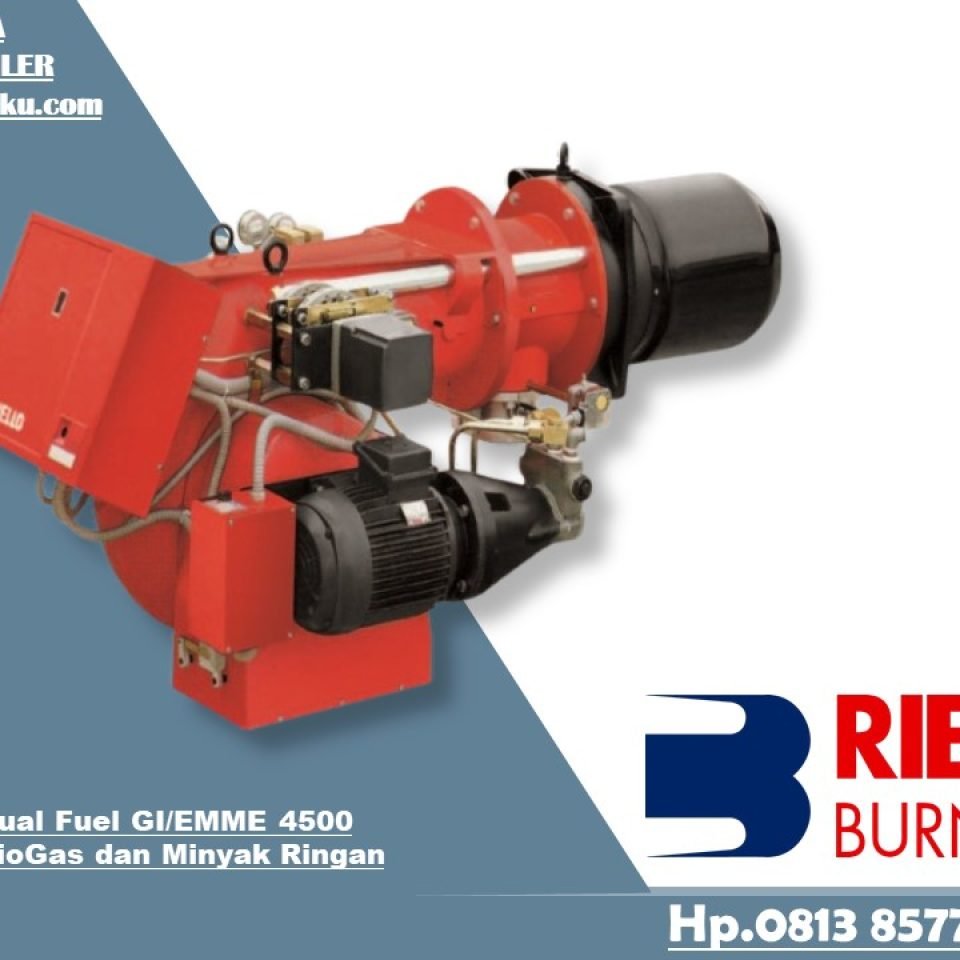 DUAL FUEL RIELLO GI EMME 4500