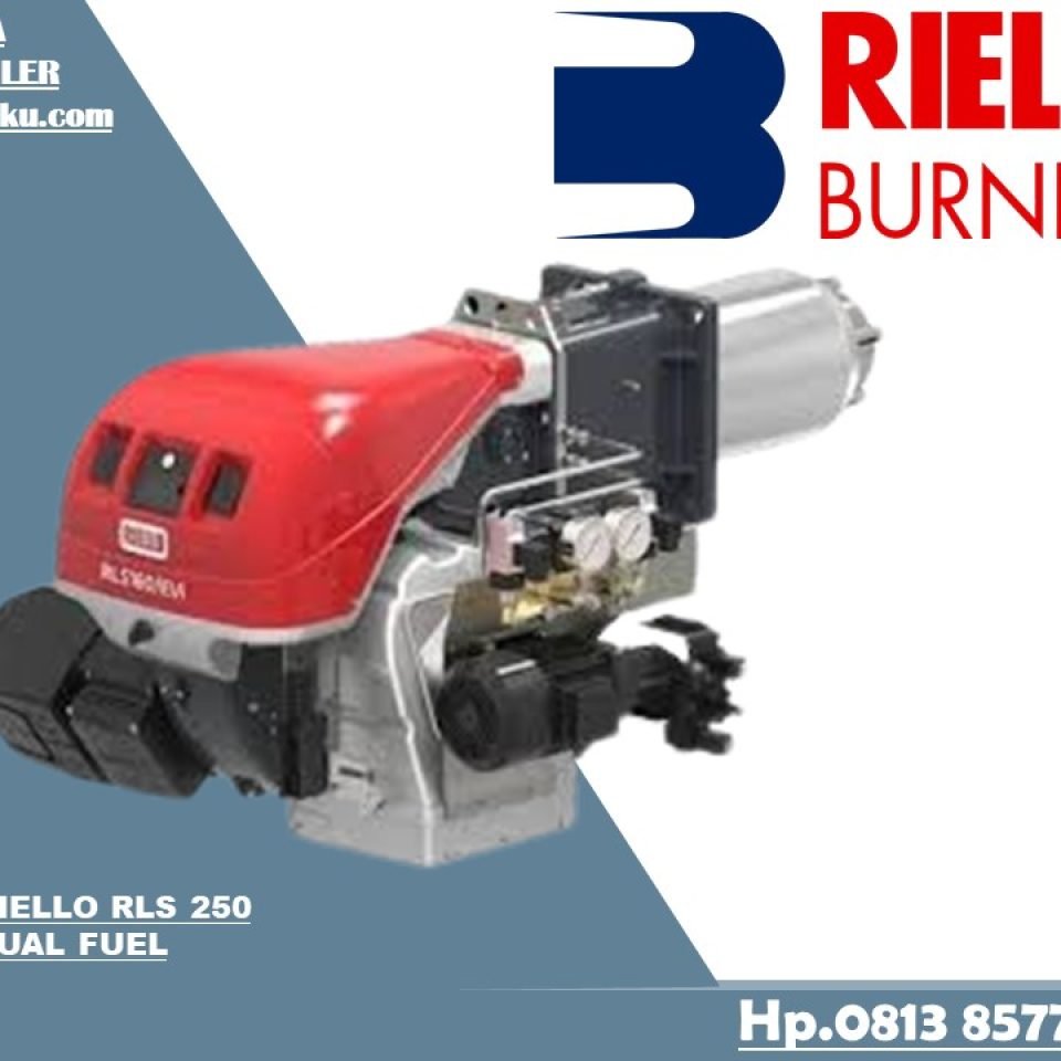 DUAL FUEL RIELLO RLS 250