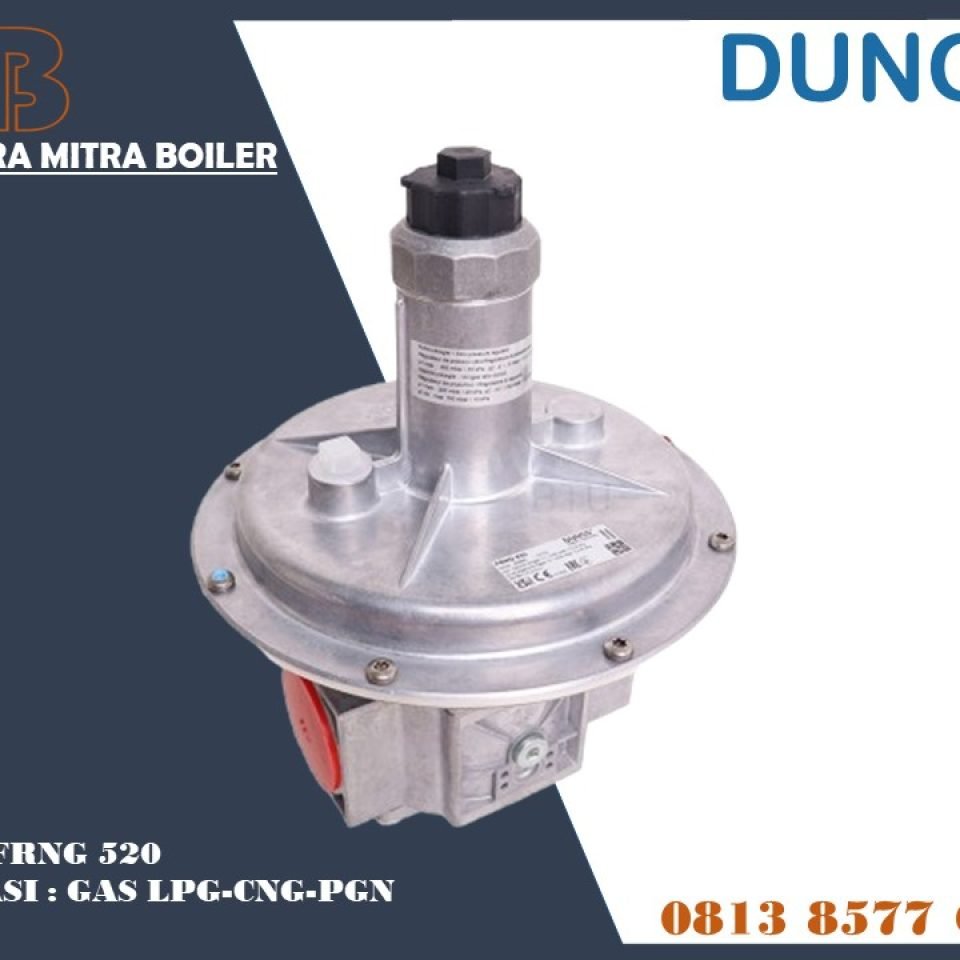 DUNGS FRNG 520 GAS REGULATOR BURNER