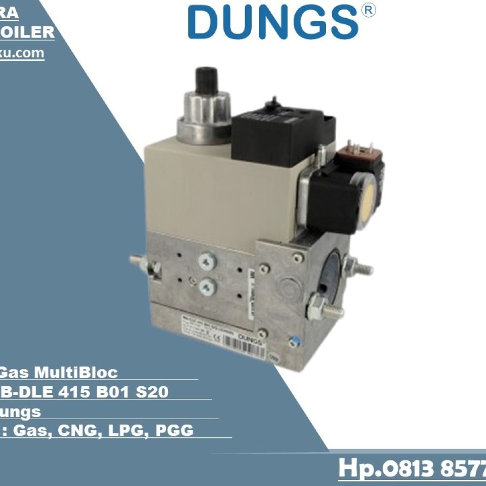Gas Multibloc Dungs MB-DLE 415 B01 S20