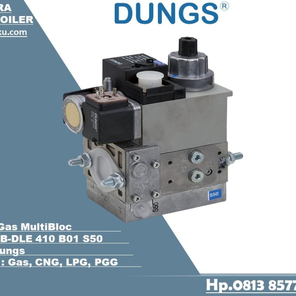 MultiBloc Dungs MB-DLE 410 B01 S50 Gas Burner