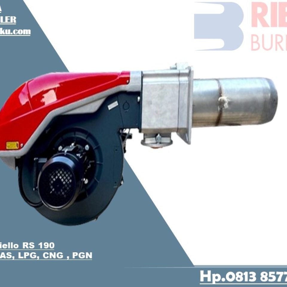 Riello RS 190 Gas