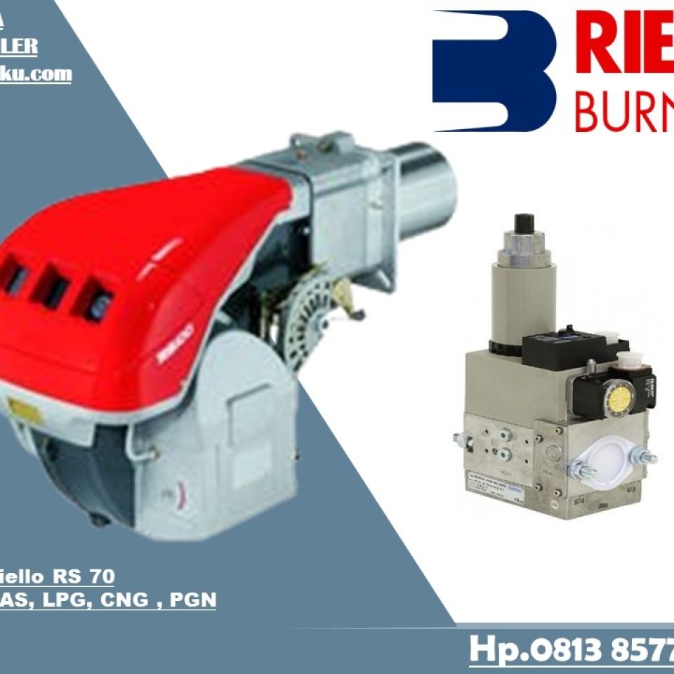 Riello RS 70 Gas Burner