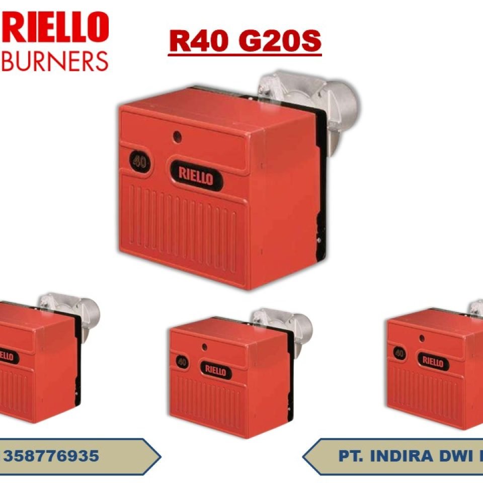 Riello r40 G20S