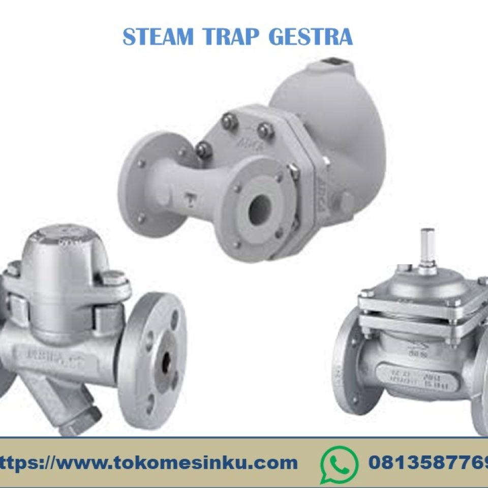 Steam Trap gestra