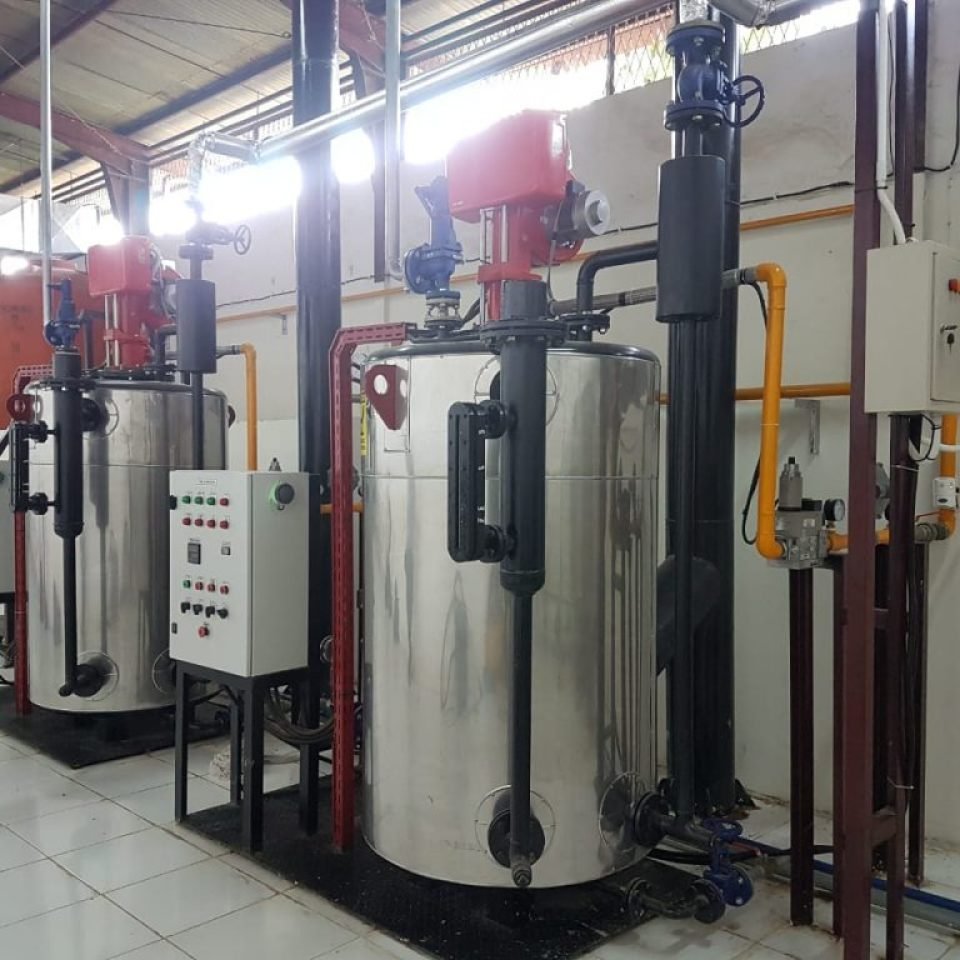 Steam boiler vertikal 750 kg